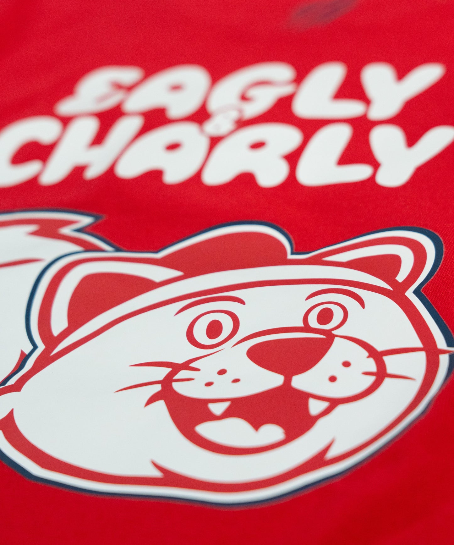 T-SHIRT "EAGLY & CHARLY" ENFANT