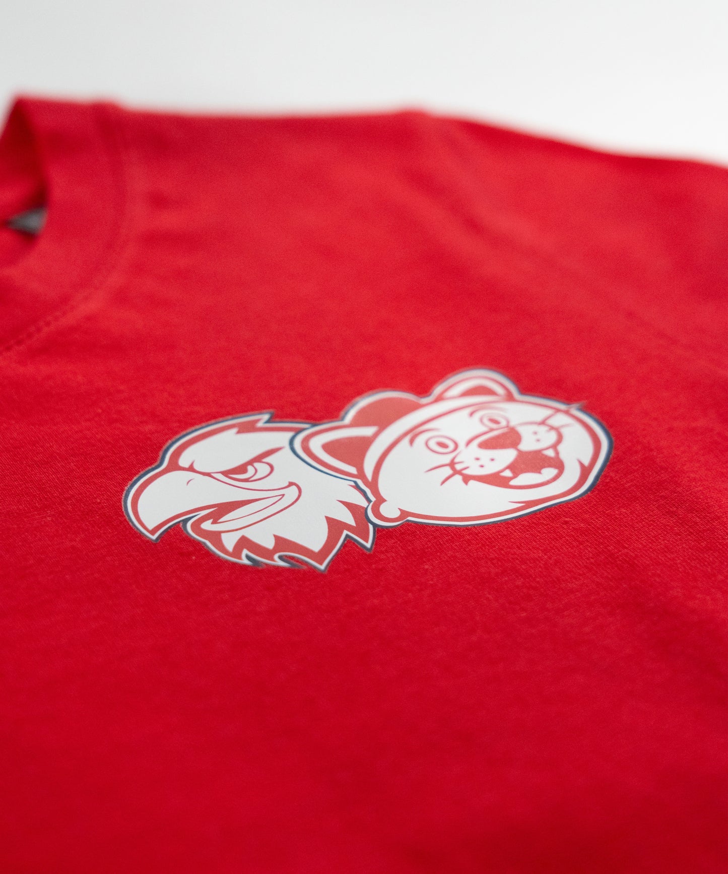 T-SHIRT "EAGLY & CHARLY" ENFANT