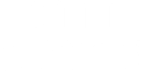 Logo partenaire